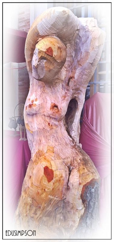 Fotografia de Edusimpson - Galeria Fotografica: Fotacos - Foto: 