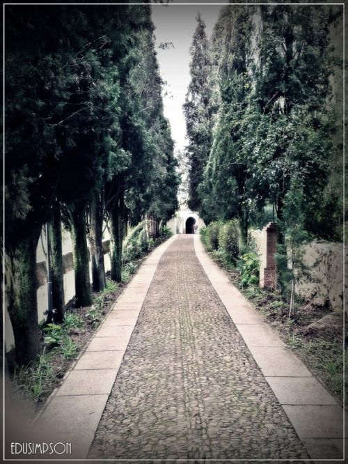 Fotografia de Edusimpson - Galeria Fotografica: Fotacos - Foto: 