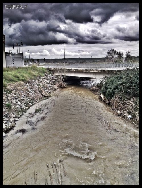 Fotografia de Edusimpson - Galeria Fotografica: Fotacos - Foto: 