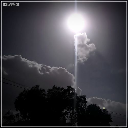 Fotografia de Edusimpson - Galeria Fotografica: Fotacos - Foto: 