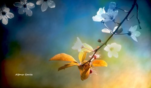 Fotografia de Alfonso Garca - Galeria Fotografica: Paisajes - Foto: 