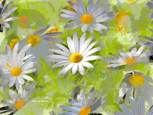 Fotografia de Alfonso Garca - Galeria Fotografica: Paisajes - Foto: 