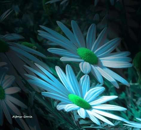 Fotografia de Alfonso Garca - Galeria Fotografica: Paisajes - Foto: 