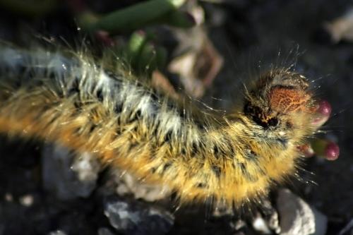 Fotografia de  - Galeria Fotografica: �Popurr�! - Foto: Tu eres...�?