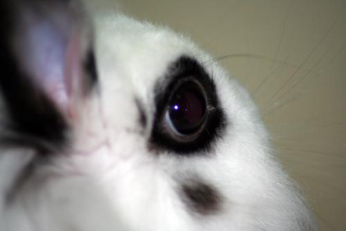 Fotografia de  - Galeria Fotografica: �Popurr�! - Foto: 