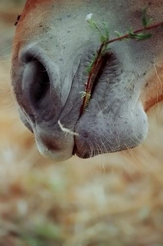 Fotografia de  - Galeria Fotografica: �Popurr�! - Foto: 