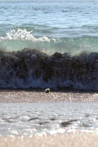 Fotografia de  - Galeria Fotografica: �Popurr�! - Foto: 