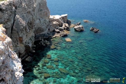 Fotografia de xavier sans� - Galeria Fotografica: Un poco de algo. - Foto: 