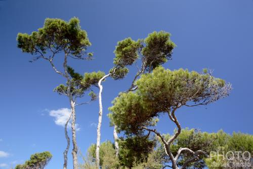 Fotografia de xavier sans� - Galeria Fotografica: Un poco de algo. - Foto: 