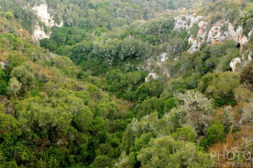 Fotografia de xavier sans� - Galeria Fotografica: Un poco de algo. - Foto: 