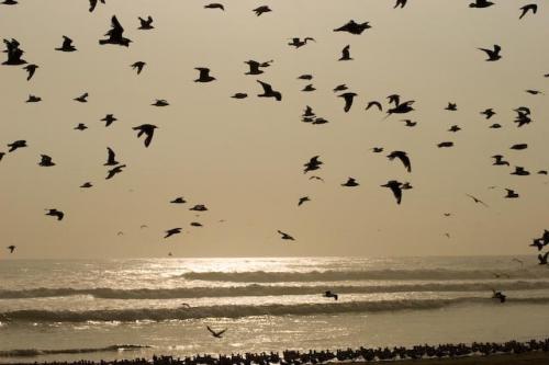 Fotografia de RobertoG.Poza - Galeria Fotografica: Naturaleza del Per�. - Foto: Atardecer