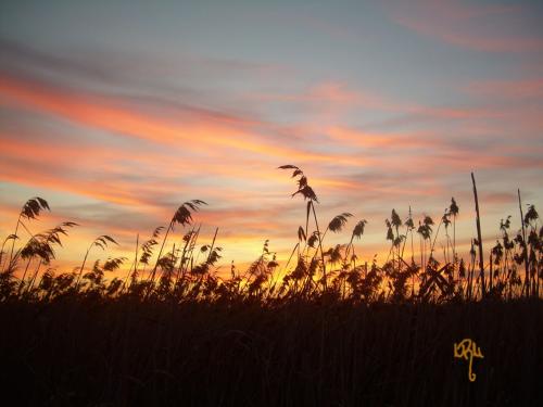 Fotografia de Marina - Galeria Fotografica: TD - Foto: 