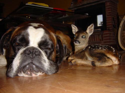 Fotografia de Jose A. - Galeria Fotografica: Naturaleza - Foto: Amigos