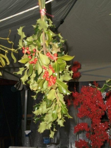 Fotografia de Plastia - Galeria Fotografica: Madrid  - Foto: 