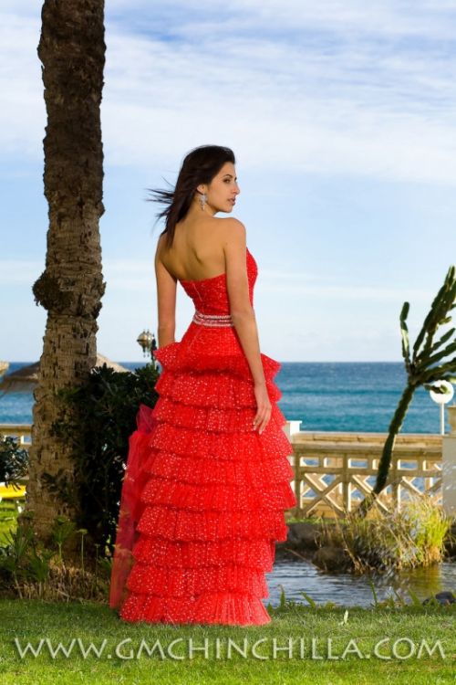 Fotografia de Gerardo M. Chinchilla - Galeria Fotografica: Naturaleza y vida salvaje y viajes - Foto: 