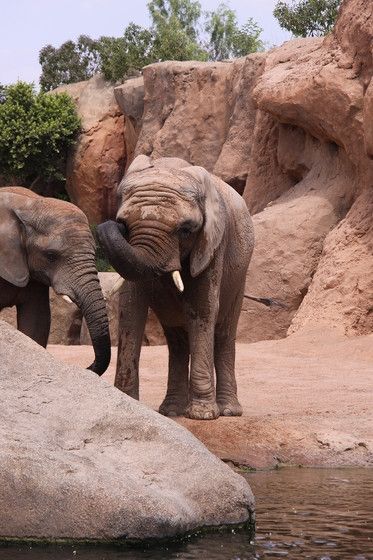Fotografia de escaramuch - Galeria Fotografica: foto naturaleza  - Foto: 