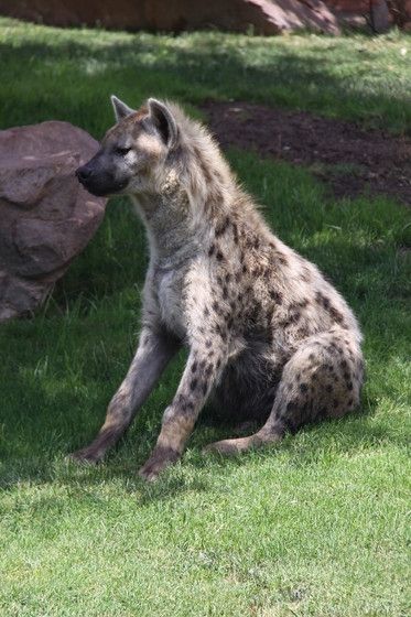 Fotografia de escaramuch - Galeria Fotografica: foto naturaleza  - Foto: 