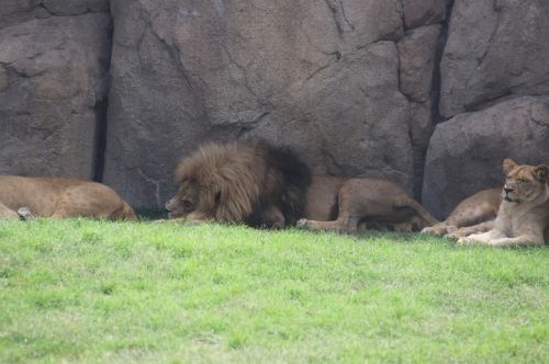 Fotografia de escaramuch - Galeria Fotografica: foto naturaleza  - Foto: 