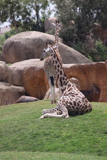 Fotografia de escaramuch - Galeria Fotografica: foto naturaleza  - Foto: 