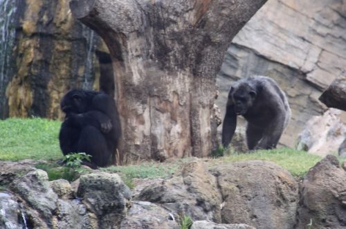 Fotografia de escaramuch - Galeria Fotografica: foto naturaleza  - Foto: 