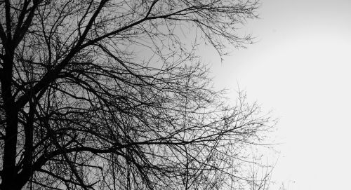 Fotografia de Quicksandahead  - Galeria Fotografica: B/w - Foto: 