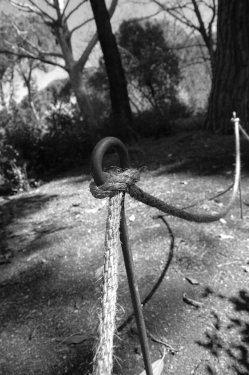 Fotografia de Quicksandahead  - Galeria Fotografica: B/w - Foto: 