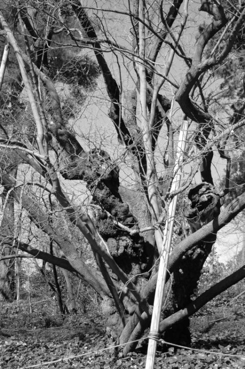 Fotografia de Quicksandahead  - Galeria Fotografica: B/w - Foto: 