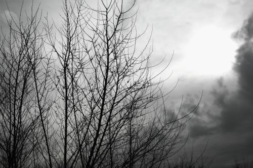 Fotografia de Quicksandahead  - Galeria Fotografica: B/w - Foto: 