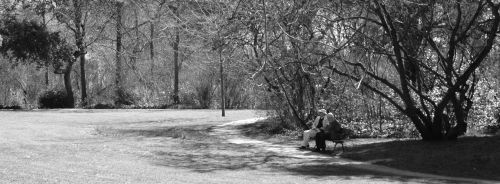 Fotografia de Quicksandahead  - Galeria Fotografica: B/w - Foto: 