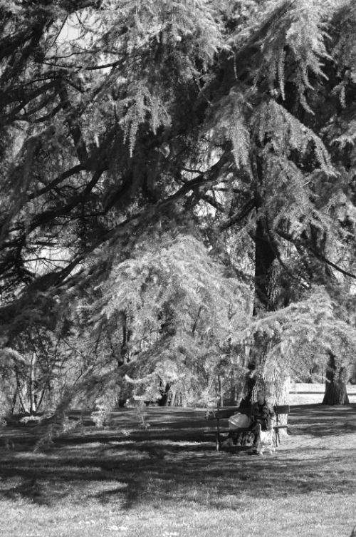 Fotografia de Quicksandahead  - Galeria Fotografica: B/w - Foto: 