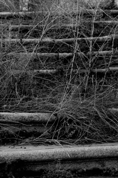 Fotografia de Quicksandahead  - Galeria Fotografica: B/w - Foto: 