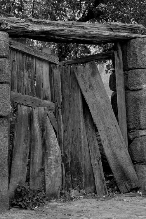 Fotografia de Quicksandahead  - Galeria Fotografica: B/w - Foto: 