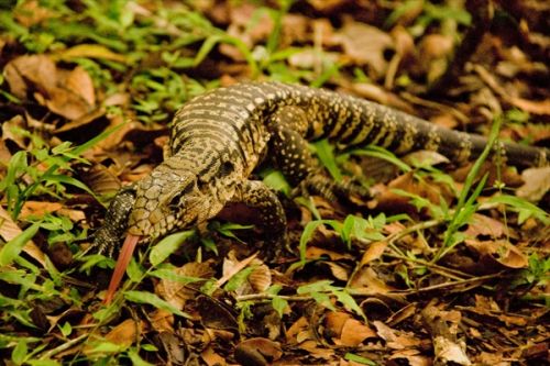 Fotografia de Gonzalo Barroso Pe�a - Galeria Fotografica: reportaje_sudam�rica - Foto: 