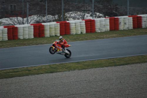 Fotografia de aleix - Galeria Fotografica: irta - Foto: 