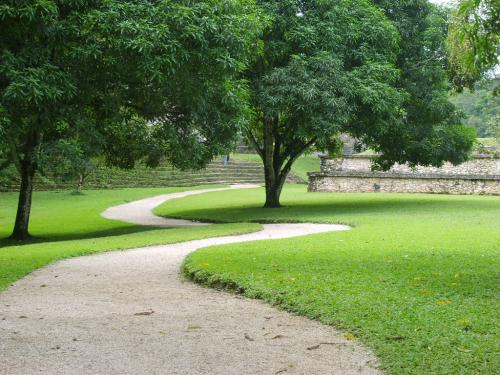 Fotografia de Roca - Galeria Fotografica: Palenque - Foto: caminito
