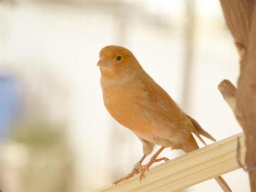 Fotografia de quiquekb - Galeria Fotografica: mis primeras fotos - Foto: 