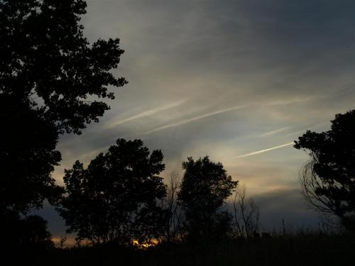 Fotografia de quiquekb - Galeria Fotografica: mis primeras fotos - Foto: xopera de Algemes 2