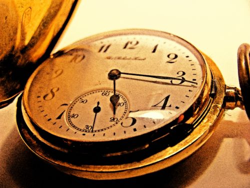 Fotografia de nako - Galeria Fotografica: macro sin macro - Foto: 