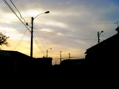 Fotografia de mackarena - Galeria Fotografica: Marzo 09 - Foto: 