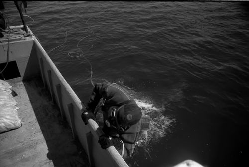 Fotografia de Joseba A. Bontigui - Galeria Fotografica: Marisqueros artesanales - Foto: 