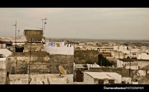 Fotografia de La Oveja Enamorada - Galeria Fotografica: Marrucos 2009 - Foto: 