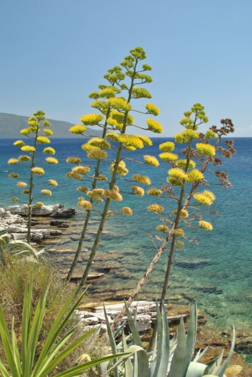 Fotografia de CloTi - Galeria Fotografica: Exposicin en La Caracola 2011 - Foto: 