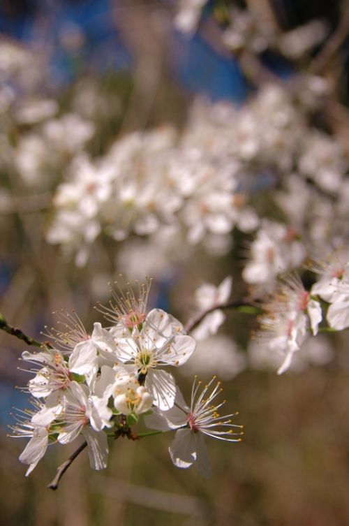 Fotografia de Quicksandahead  - Galeria Fotografica: color - Foto: 