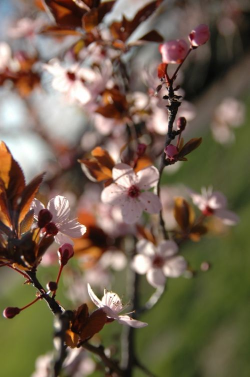Fotografia de Quicksandahead  - Galeria Fotografica: color - Foto: 