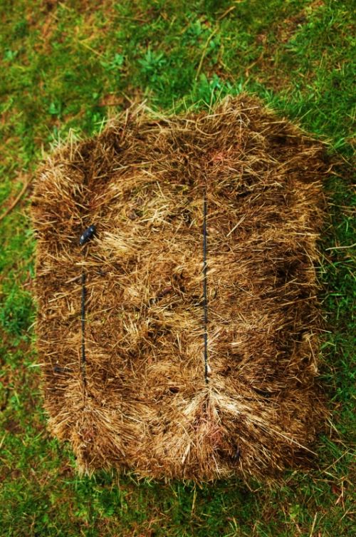 Fotografia de Quicksandahead  - Galeria Fotografica: color - Foto: 