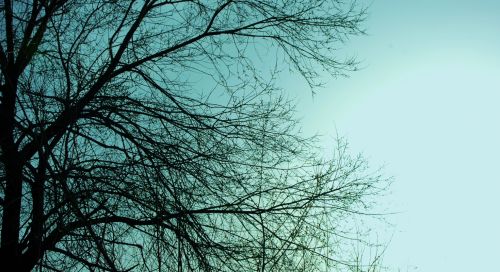 Fotografia de Quicksandahead  - Galeria Fotografica: color - Foto: 