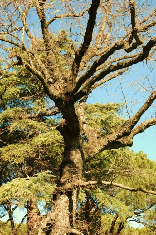 Fotografia de Quicksandahead  - Galeria Fotografica: color - Foto: 