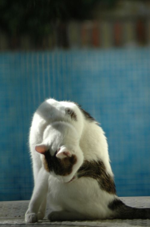 Fotografia de Quicksandahead  - Galeria Fotografica: color - Foto: 