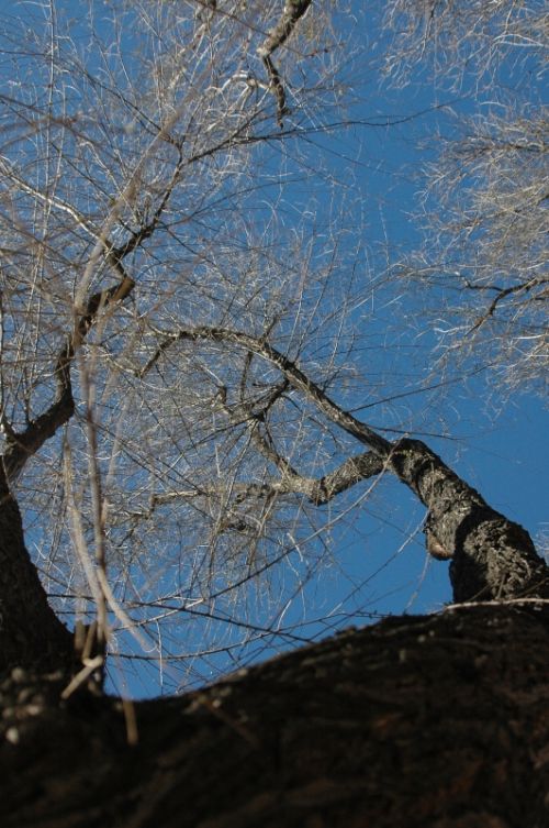 Fotografia de Quicksandahead  - Galeria Fotografica: color - Foto: 