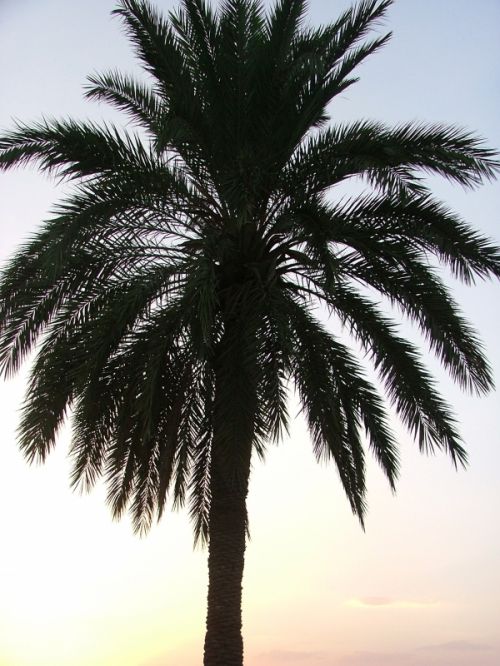 Fotografia de Quicksandahead  - Galeria Fotografica: color - Foto: 